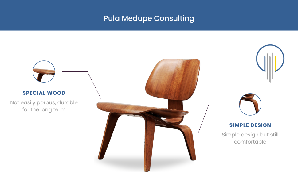 Pula Medupe Business Concept Development (2)